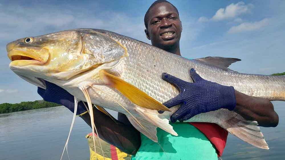 Pêche au Sénégal : plus de cent licences accordées pour 2026